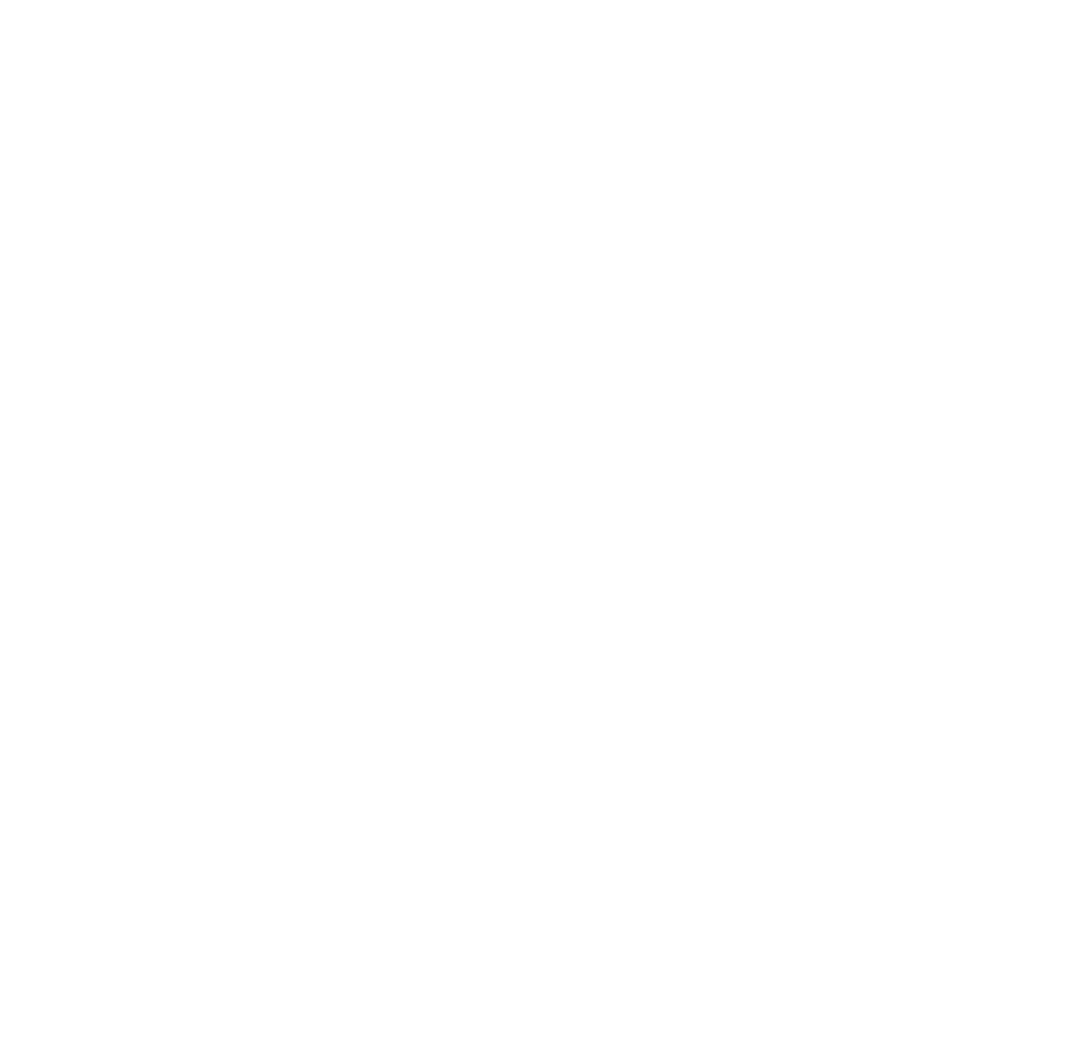 EcomSoldier